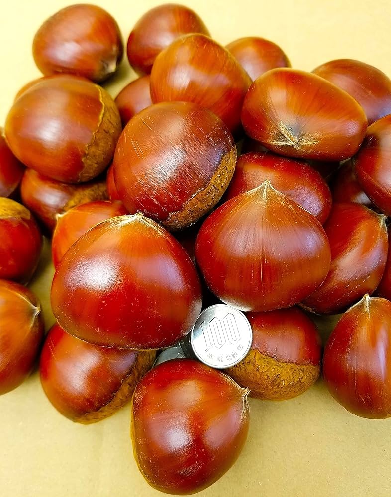 Amazon.co.jp: 【茨城県産】大粒 栗 生栗 2L-3L 大粒 約1kg 虫